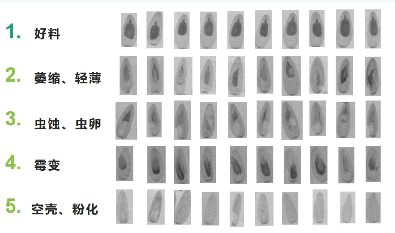 http://chongwugou.com.cn/Upload/ueditor/1713835443165267.png